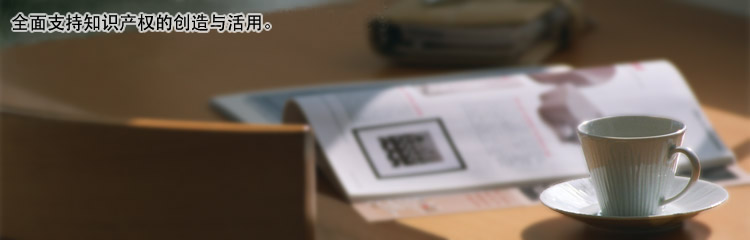 全面支持知识产权的创造与活用。